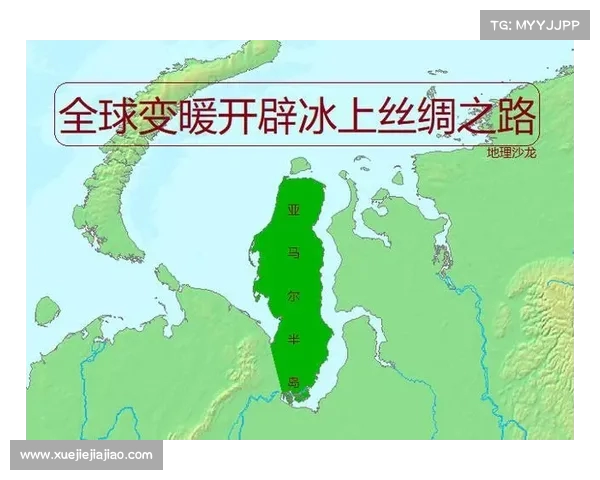 亚马尔半岛地理环境变化与生态系统影响研究新进展