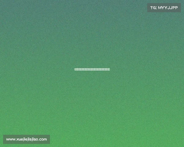 雷恩城市历史文化与现代发展的交融探索与未来展望