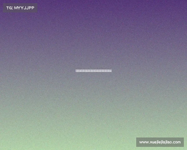 雷恩城市历史文化与现代发展的交融探索与未来展望