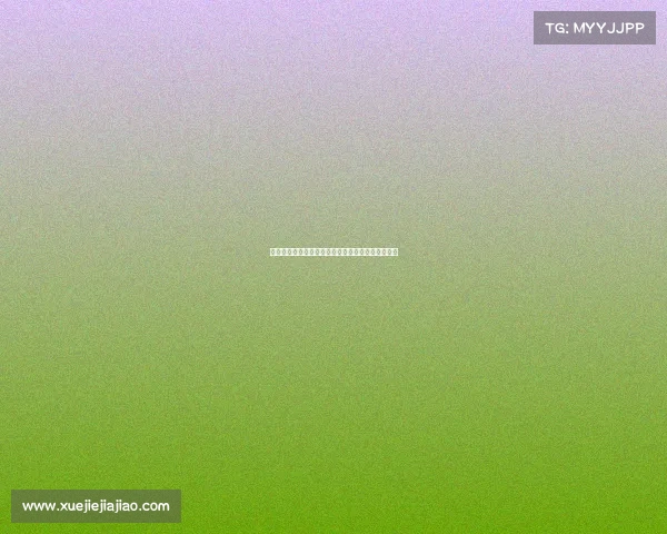 雷恩城市历史文化与现代发展的交融探索与未来展望