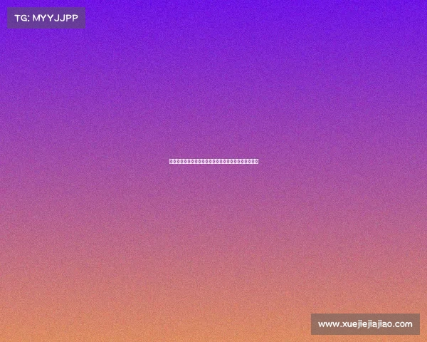 法甲幕后团队的协作与策略如何塑造法国足球的辉煌成就