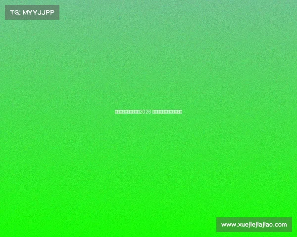 美国队的远大愿景超越2026 聚焦更长远的全球足球目标